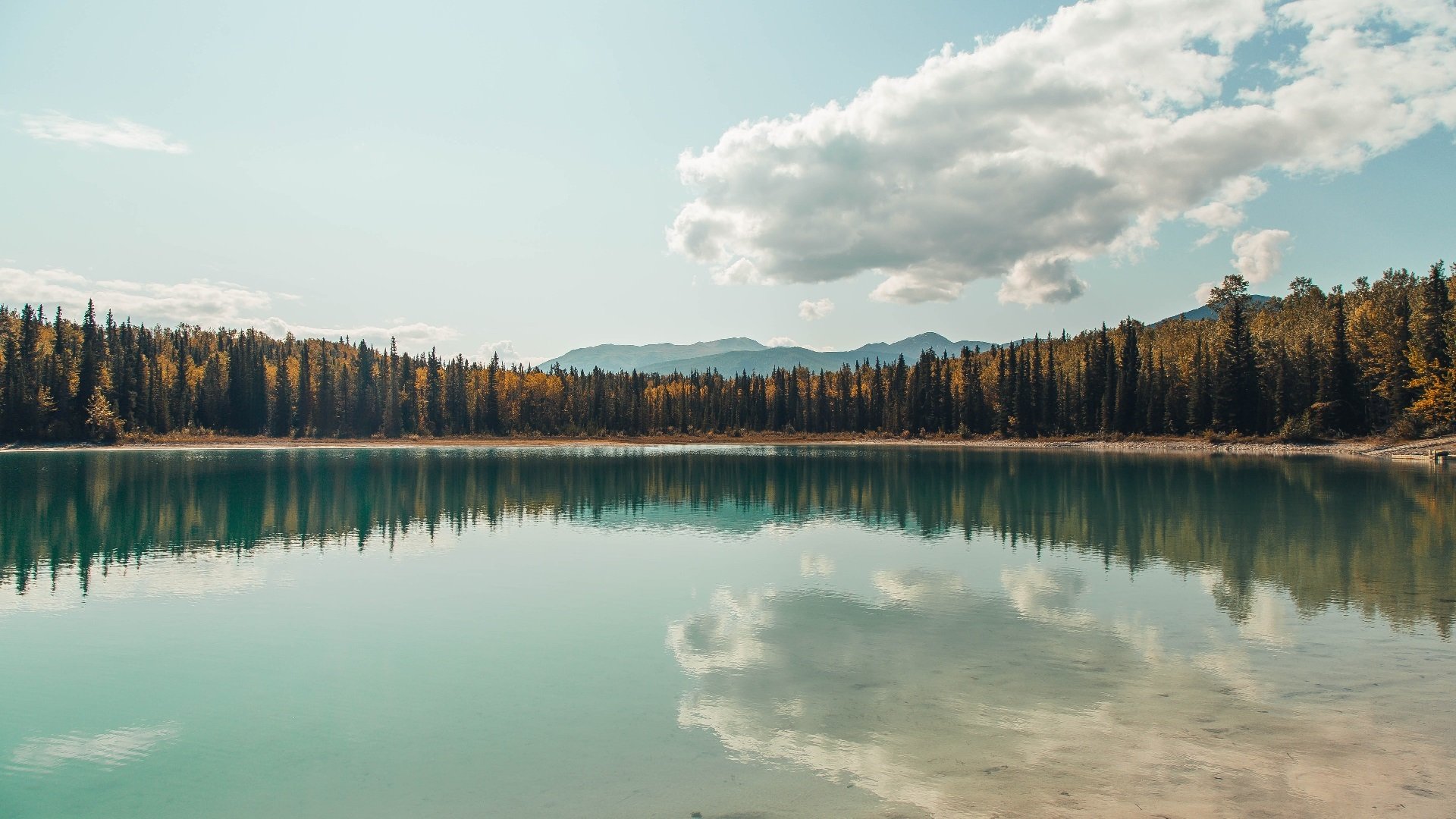 开云体育在线-欧冠半决赛惊天一战，皇家社会强势拿下加纳，拉亚门神附体接管比赛